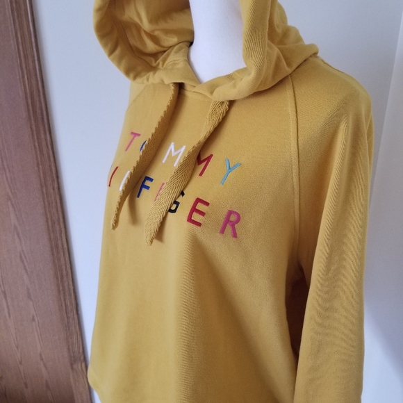 Tommy Hilfiger Colorful Logo Hoodie Sweater - Picture 3 of 4
